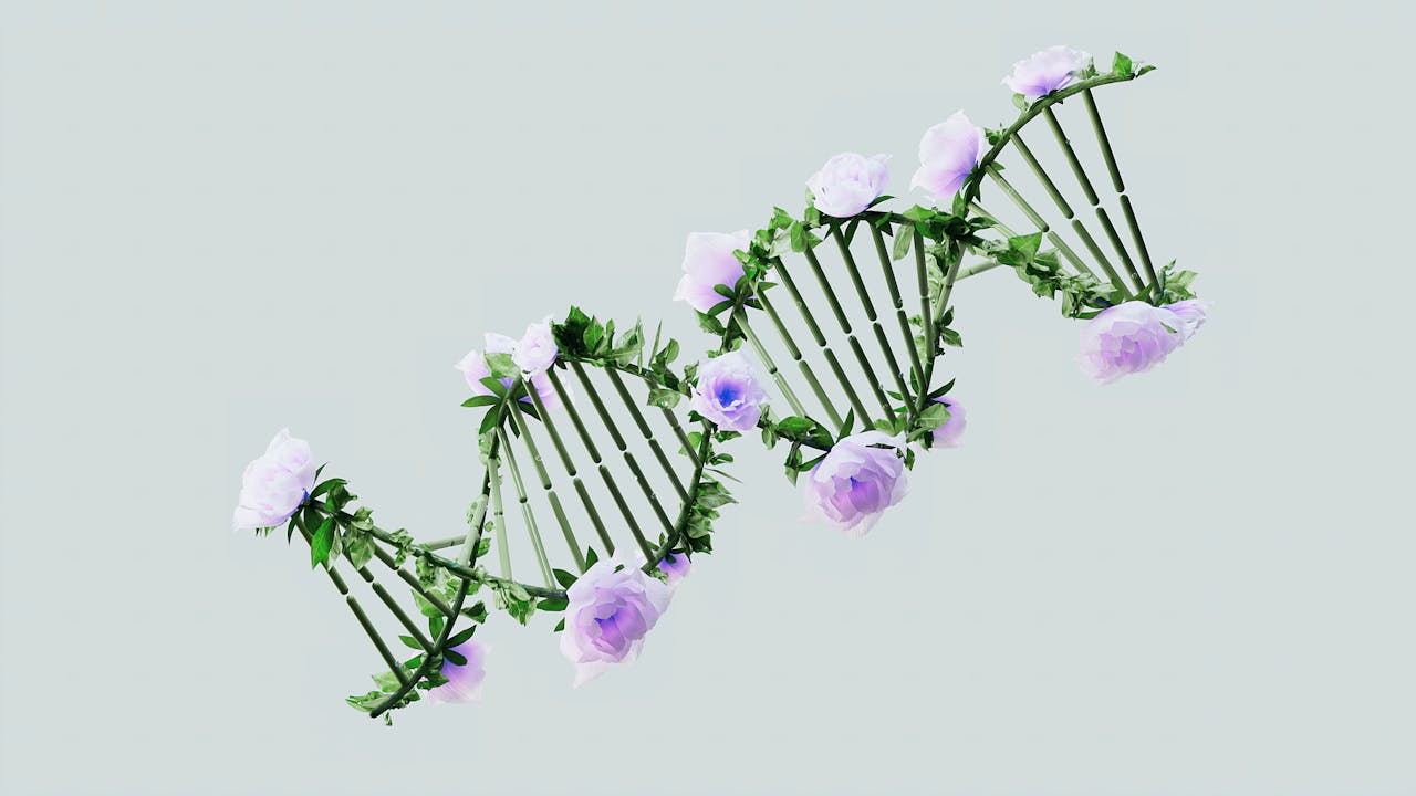 DNA onderzoek: je verleden en gezondheid in één test