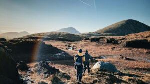 Wat bos, stilte en zonlicht doen met je interne klok