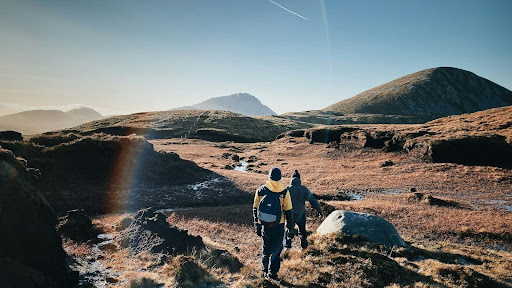 Wat bos, stilte en zonlicht doen met je interne klok